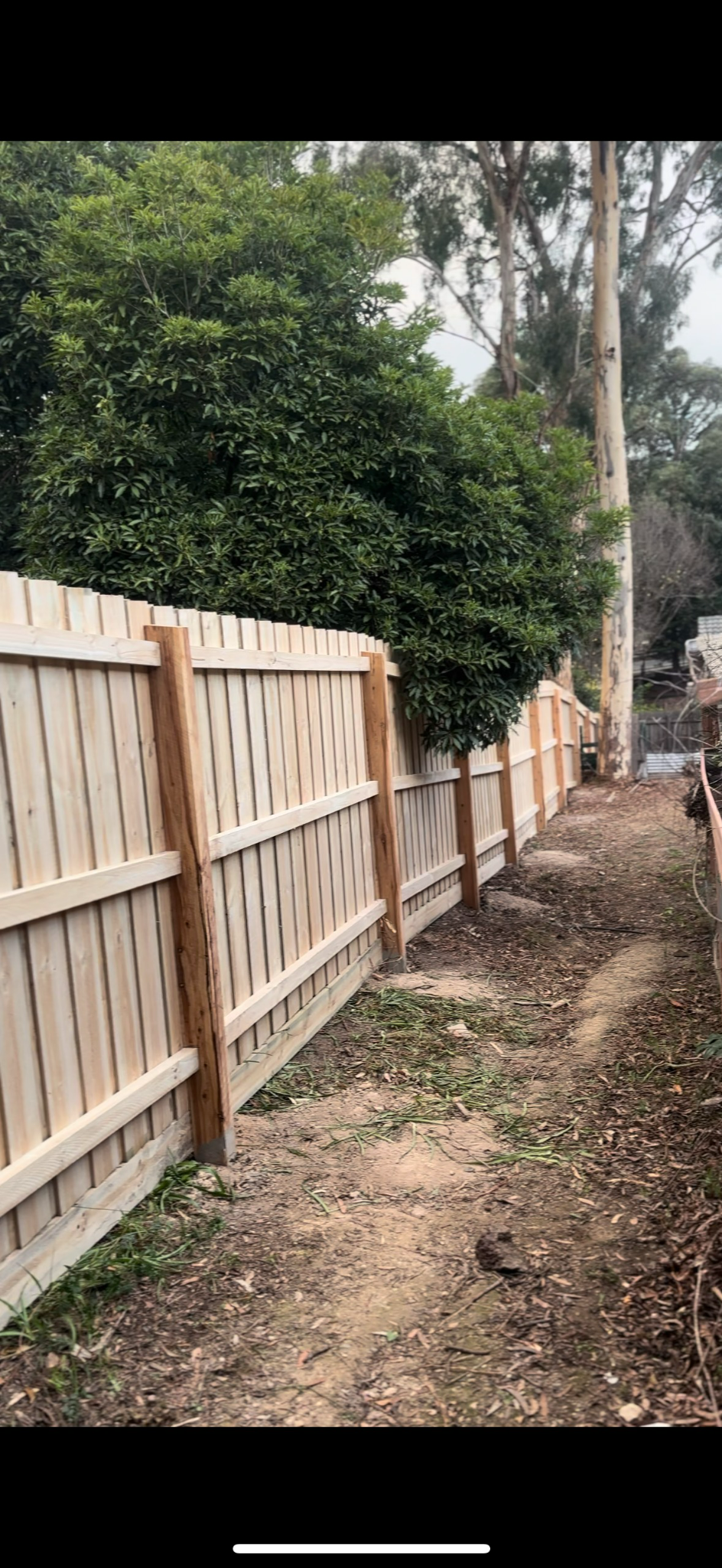 After Ruve Fencing replacement showing a new straight timber boundary fence in Melbourne