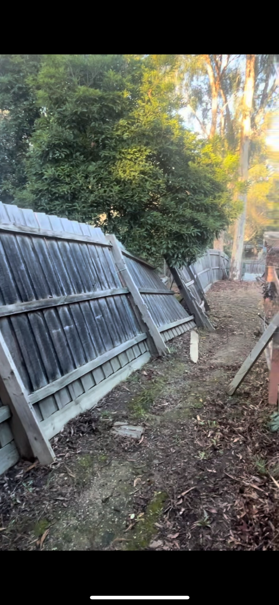 Before Ruve Fencing replacement showing an old leaning timber boundary fence in Melbourne